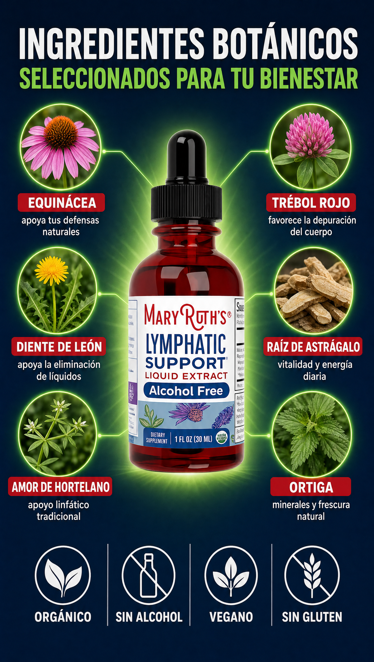 MaryRuths Lymphatic Support - Ingredientes